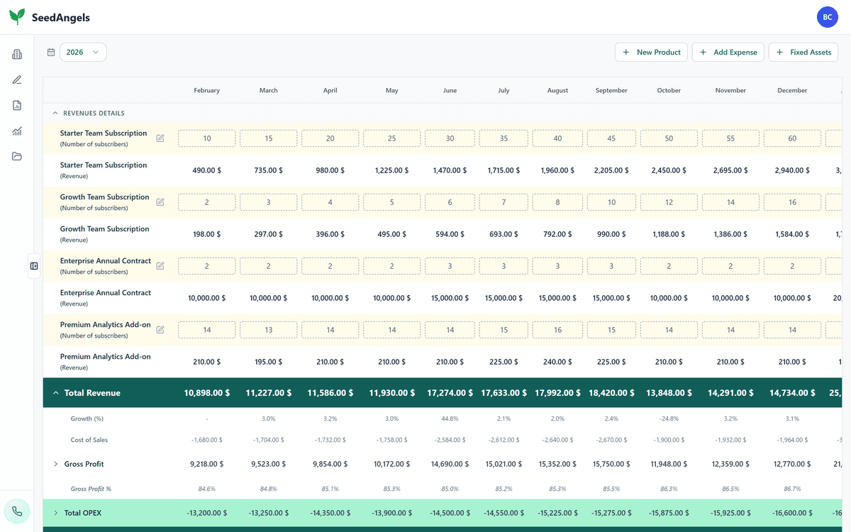 Financial forecast in SeedAngels: monthly revenue, gross margin and EBITDA